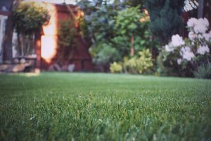 Artificial Turf Laying Service