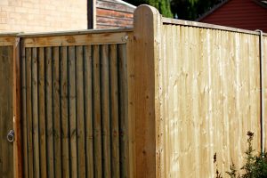 Timber Tanalised Fencing