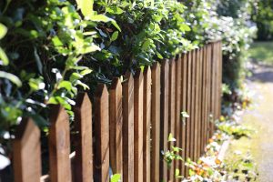 Timber Picket Fence